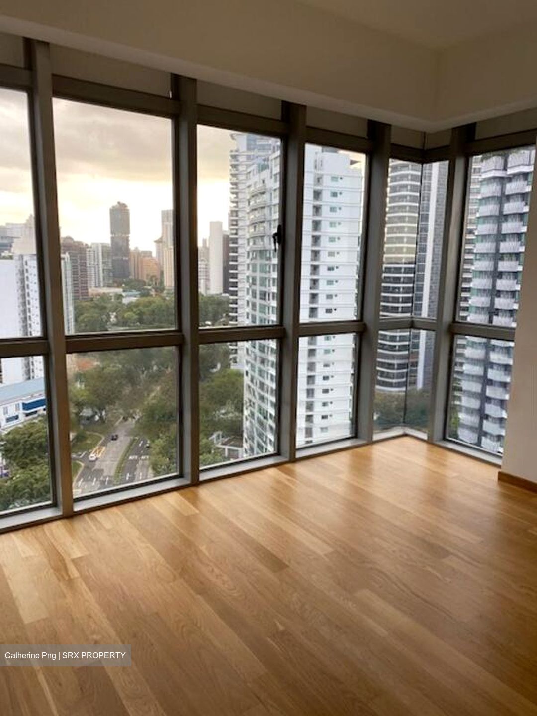 26 Newton (D11), Apartment #517072301